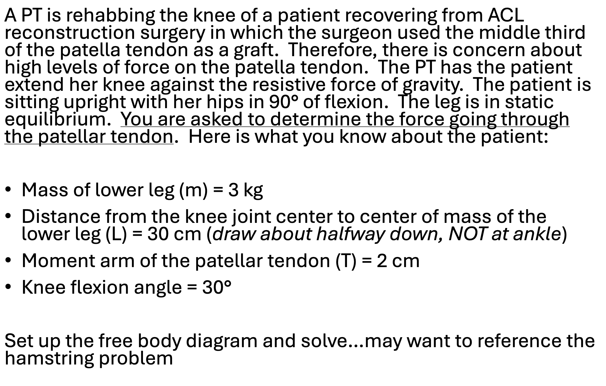 Hamstring Curl